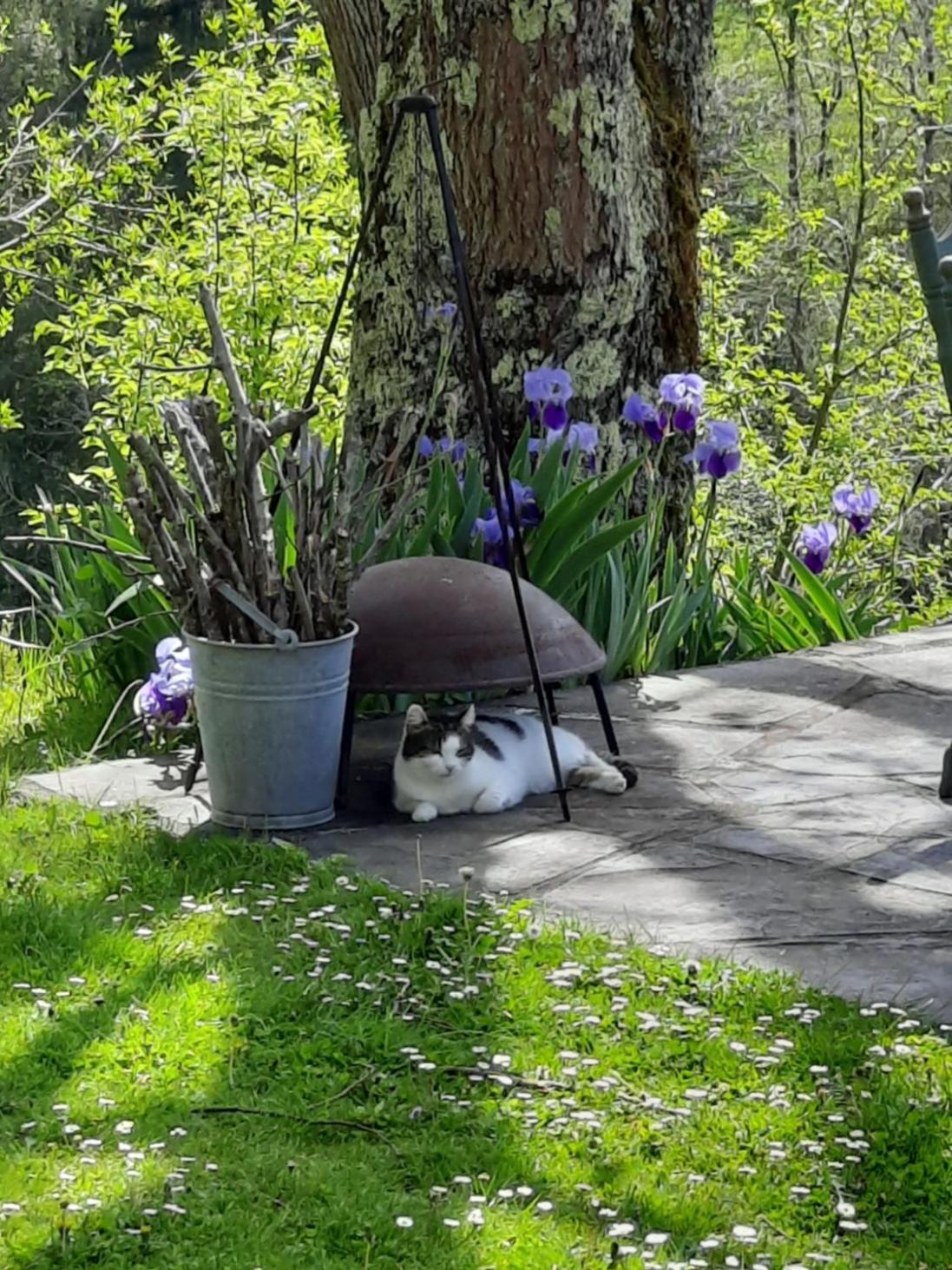 Biert La Coume, Tweepersoonsbed Bed & Breakfast Bagian luar foto
